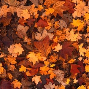 Meet your Posher, Karmy